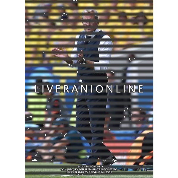 UEFA Francia EURO 2016 Final Tournament Group Stage E Tolosa - 17.06.2016 Italia-Svezia Nella Foto:Hamren Erik /Ph.Vitez-Ag. Aldo Liverani