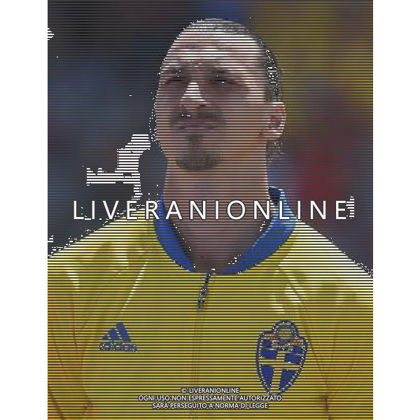 UEFA Francia EURO 2016 Final Tournament Group Stage E Tolosa - 17.06.2016 Italia-Svezia Nella Foto:Ibrahimovic Zlatan /Ph.Vitez-Ag. Aldo Liverani