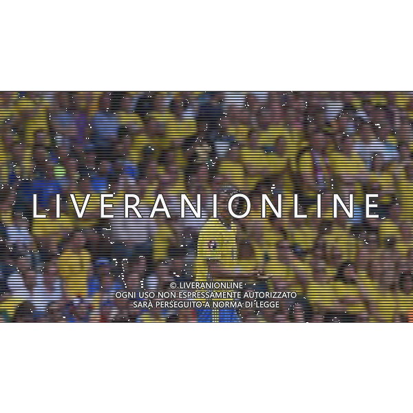 UEFA Francia EURO 2016 Final Tournament Group Stage E Tolosa - 17.06.2016 Italia-Svezia Nella Foto:Ibrahimovic Zlatan /Ph.Vitez-Ag. Aldo Liverani