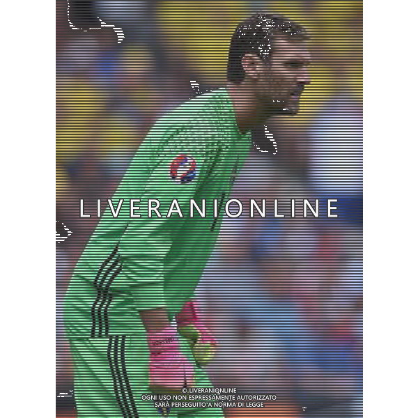 UEFA Francia EURO 2016 Final Tournament Group Stage E Tolosa - 17.06.2016 Italia-Svezia Nella Foto:Isaksson Andreas /Ph.Vitez-Ag. Aldo Liverani