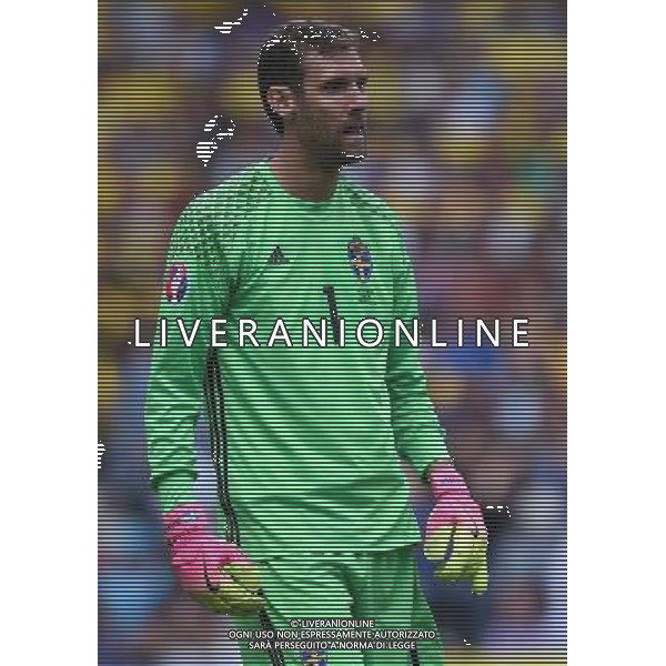 UEFA Francia EURO 2016 Final Tournament Group Stage E Tolosa - 17.06.2016 Italia-Svezia Nella Foto:Isaksson Andreas /Ph.Vitez-Ag. Aldo Liverani