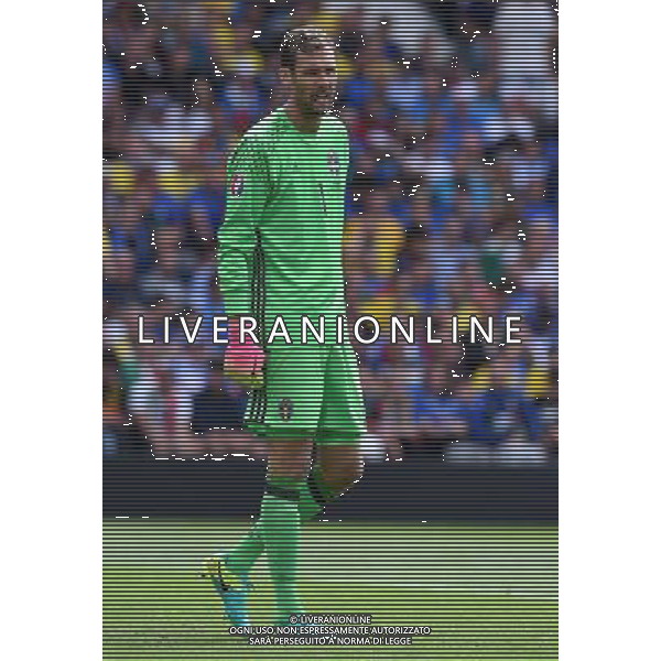 UEFA Francia EURO 2016 Final Tournament Group Stage E Tolosa - 17.06.2016 Italia-Svezia Nella Foto:Isaksson Andreas /Ph.Vitez-Ag. Aldo Liverani