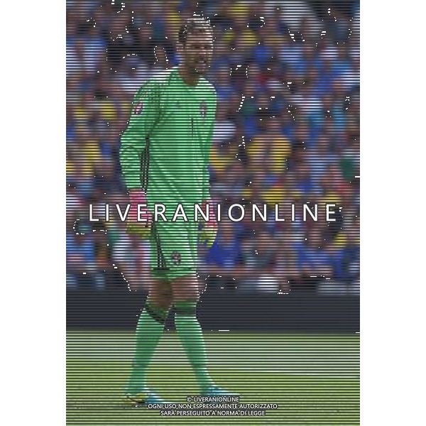 UEFA Francia EURO 2016 Final Tournament Group Stage E Tolosa - 17.06.2016 Italia-Svezia Nella Foto:Isaksson Andreas /Ph.Vitez-Ag. Aldo Liverani