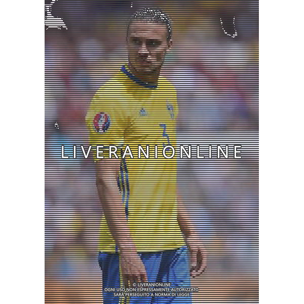 UEFA Francia EURO 2016 Final Tournament Group Stage E Tolosa - 17.06.2016 Italia-Svezia Nella Foto:Johansson Erik /Ph.Vitez-Ag. Aldo Liverani