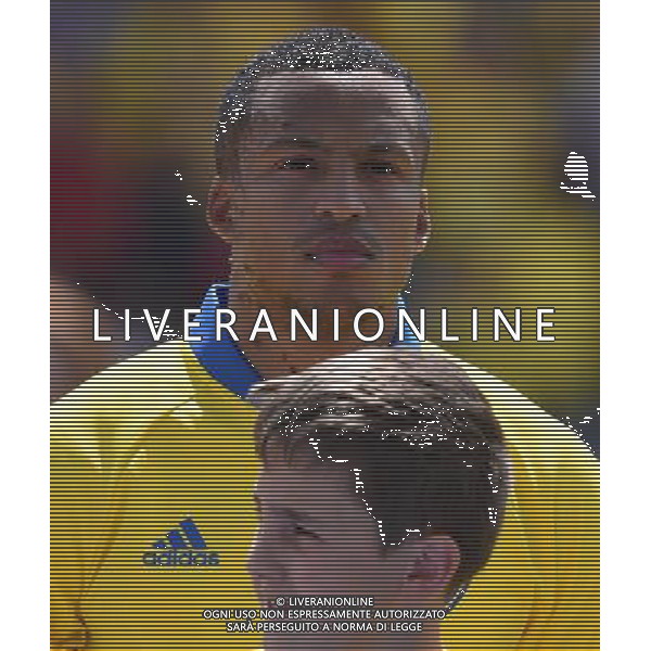 UEFA Francia EURO 2016 Final Tournament Group Stage E Tolosa - 17.06.2016 Italia-Svezia Nella Foto:Olsson Martin /Ph.Vitez-Ag. Aldo Liverani