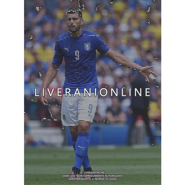 UEFA Francia EURO 2016 Final Tournament Group Stage E Tolosa - 17.06.2016 Italia-Svezia Nella Foto:Pelle\' Graziano /Ph.Vitez-Ag. Aldo Liverani