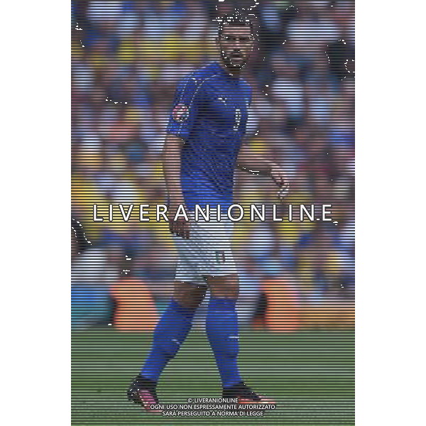 UEFA Francia EURO 2016 Final Tournament Group Stage E Tolosa - 17.06.2016 Italia-Svezia Nella Foto:Pelle\' Graziano /Ph.Vitez-Ag. Aldo Liverani