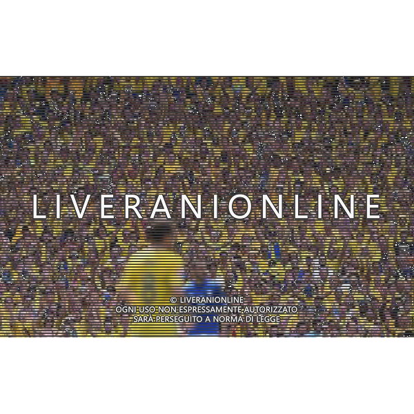 UEFA Francia EURO 2016 Final Tournament Group Stage E Tolosa - 17.06.2016 Italia-Svezia Nella Foto:Tifosi Svezia /Ph.Vitez-Ag. Aldo Liverani