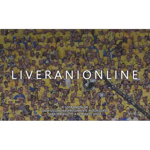 UEFA Francia EURO 2016 Final Tournament Group Stage E Tolosa - 17.06.2016 Italia-Svezia Nella Foto:TV riprese video telecamera giraffa /Ph.Vitez-Ag. Aldo Liverani