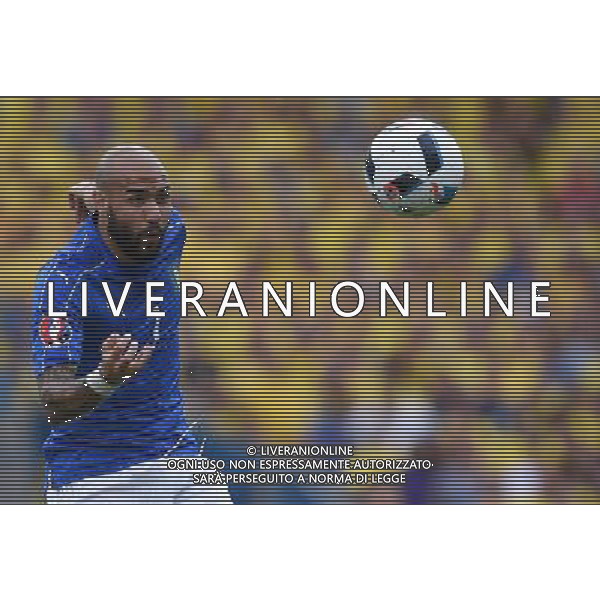 UEFA Francia EURO 2016 Final Tournament Group Stage E Tolosa - 17.06.2016 Italia-Svezia Nella Foto:Zaza Simone /Ph.Vitez-Ag. Aldo Liverani