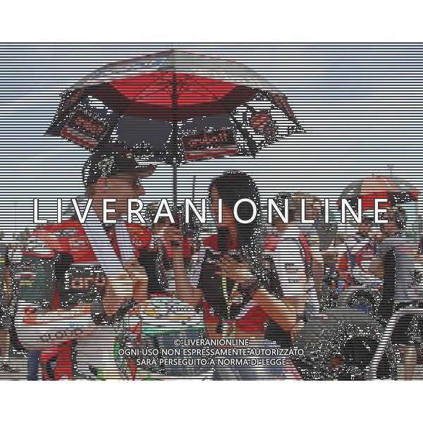 Campionato Mondiale Superbike, Pirelli Riviera di Rimini, Round 8, Misano 18/06/2016, nella foto: CHAZ DAVIES, ©C.ZAMAGNI/AGENZIA ALDO LIVERANI S.A.S