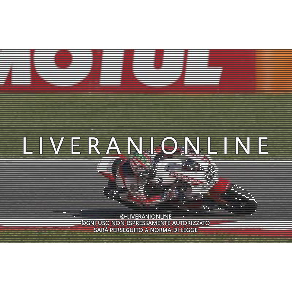 Campionato Mondiale Superbike, Pirelli Riviera di Rimini, Round 8, Misano 18/06/2016, nella foto: NICKY HAYDEN, HONDA CBR1000, ©C.ZAMAGNI/AGENZIA ALDO LIVERANI S.A.S