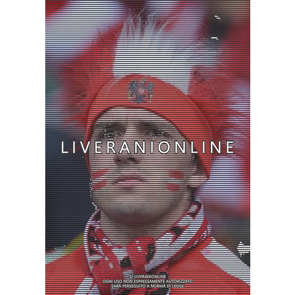 UEFA Francia EURO 2016 Final Tournament Group Stage F Parigi - 18.06.2016 Portogallo-Austria Nella Foto:tifosi austria /Ph.Vitez-Ag. Aldo Liverani