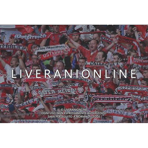 UEFA Francia EURO 2016 Final Tournament Group Stage F Parigi - 18.06.2016 Portogallo-Austria Nella Foto:tifosi austria /Ph.Vitez-Ag. Aldo Liverani