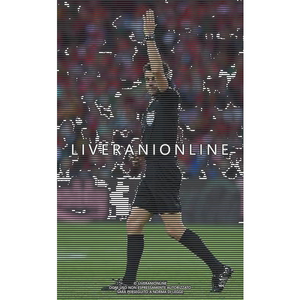 UEFA Francia EURO 2016 Final Tournament Group Stage F Parigi - 18.06.2016 Portogallo-Austria Nella Foto:rizzoli /Ph.Vitez-Ag. Aldo Liverani