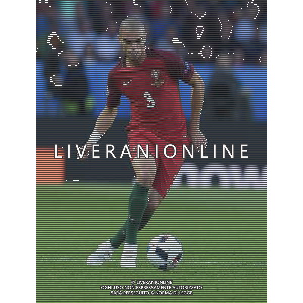 UEFA Francia EURO 2016 Final Tournament Group Stage F Parigi - 18.06.2016 Portogallo-Austria Nella Foto:Pepe /Ph.Vitez-Ag. Aldo Liverani