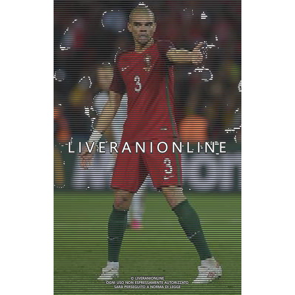 UEFA Francia EURO 2016 Final Tournament Group Stage F Parigi - 18.06.2016 Portogallo-Austria Nella Foto:Pepe /Ph.Vitez-Ag. Aldo Liverani