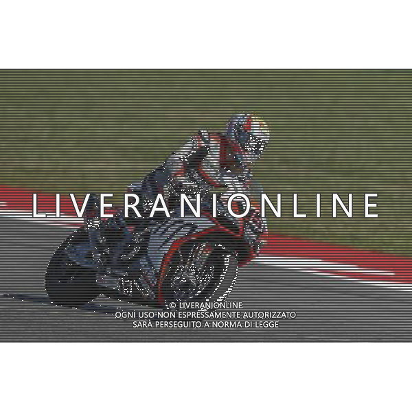 Campionato Mondiale Superbike, Pirelli Riviera di Rimini, Round 8, Misano 18/06/2016, nella foto: ALEX DE ANGELIS, ©C.ZAMAGNI/AGENZIA ALDO LIVERANI S.A.S