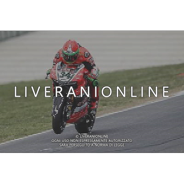 Campionato Mondiale Superbike, Pirelli Riviera di Rimini, Round 8, Misano 18/06/2016, nella foto: DAVIDE GIUGLIANO, ©C.ZAMAGNI/AGENZIA ALDO LIVERANI S.A.S