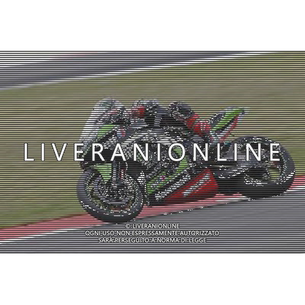 Campionato Mondiale Superbike, Pirelli Riviera di Rimini, Round 8, Misano 18/06/2016, nella foto: JONATHAN REA, ©C.ZAMAGNI/AGENZIA ALDO LIVERANI S.A.S