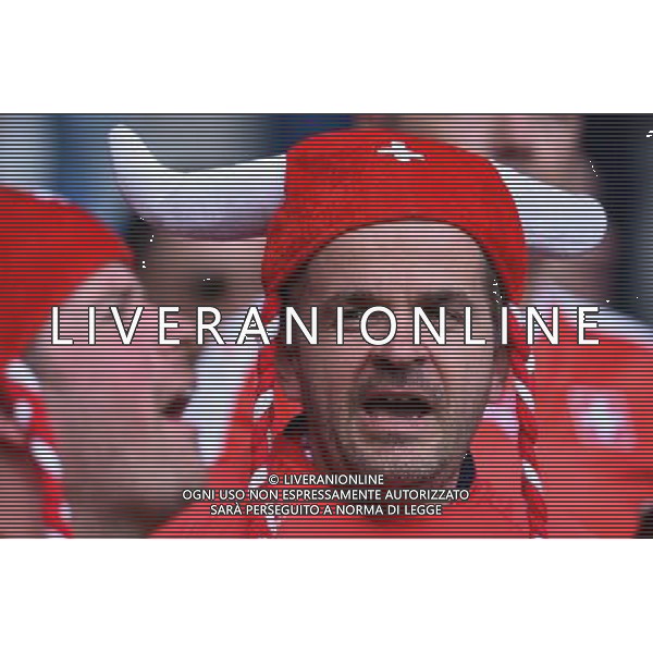 UEFA Francia EURO 2016 Final Tournament Group Stage A Lille - 19.06.2016 Svizzera-Francia Nella Foto:tifosi svizzera /Ph.Vitez-Ag. Aldo Liverani