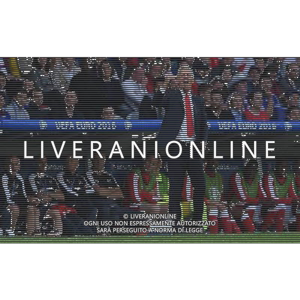 UEFA Francia EURO 2016 Final Tournament Group Stage A Lille - 19.06.2016 Svizzera-Francia Nella Foto:petkovic /Ph.Vitez-Ag. Aldo Liverani