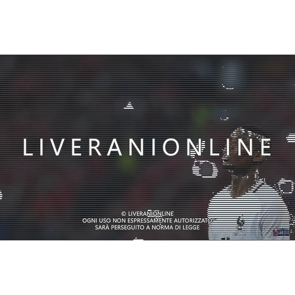 UEFA Francia EURO 2016 Final Tournament Group Stage A Lille - 19.06.2016 Svizzera-Francia Nella Foto:pogba /Ph.Vitez-Ag. Aldo Liverani