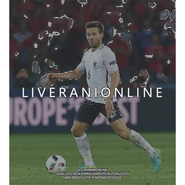 UEFA Francia EURO 2016 Final Tournament Group Stage A Lille - 19.06.2016 Svizzera-Francia Nella Foto:Cabaye Yohan /Ph.Vitez-Ag. Aldo Liverani