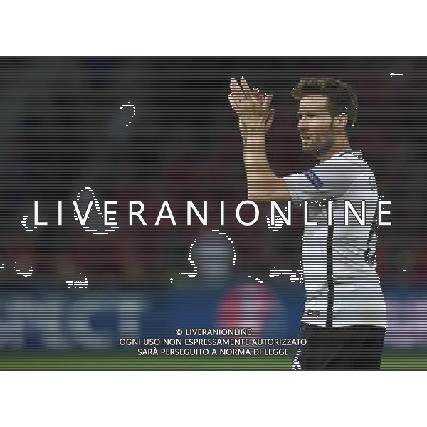 UEFA Francia EURO 2016 Final Tournament Group Stage A Lille - 19.06.2016 Svizzera-Francia Nella Foto:Cabaye Yohan /Ph.Vitez-Ag. Aldo Liverani