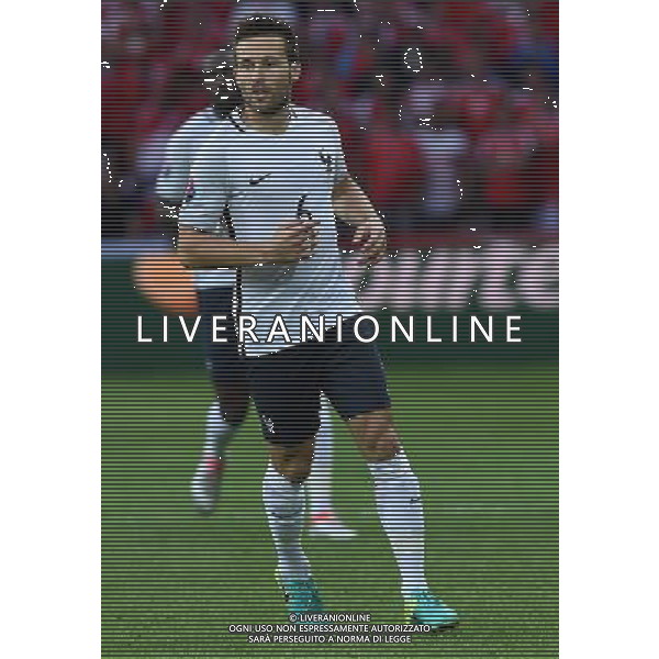 UEFA Francia EURO 2016 Final Tournament Group Stage A Lille - 19.06.2016 Svizzera-Francia Nella Foto:Cabaye Yohan /Ph.Vitez-Ag. Aldo Liverani