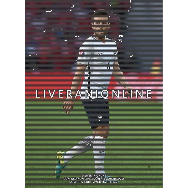 UEFA Francia EURO 2016 Final Tournament Group Stage A Lille - 19.06.2016 Svizzera-Francia Nella Foto:Cabaye Yohan /Ph.Vitez-Ag. Aldo Liverani