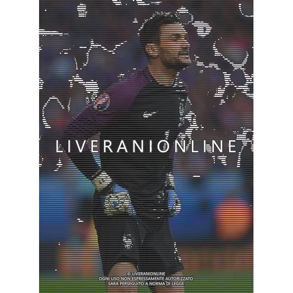 UEFA Francia EURO 2016 Final Tournament Group Stage A Lille - 19.06.2016 Svizzera-Francia Nella Foto:Lloris Hugo /Ph.Vitez-Ag. Aldo Liverani