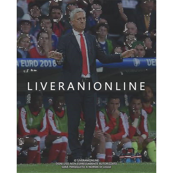 UEFA Francia EURO 2016 Final Tournament Group Stage A Lille - 19.06.2016 Svizzera-Francia Nella Foto:Petkovic Vladimir /Ph.Vitez-Ag. Aldo Liverani