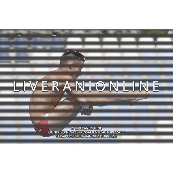Campionati Italiani Assoluti Estivi Open Roma - 20.05.2016 - Stadio del Nuoto - nella foto: Andreas Nader Billi /Ph. Corradetti - AG ALDO LIVERANI SAS/ AGENZIA ALDO LIVERANI SAS Campionati Italiani Assoluti Estivi Open Tuffi Roma - 20.05.2016