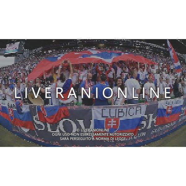 UEFA Francia EURO 2016 Final Tournament Group Stage B Saint-Etienne - 20.06.2016 Slovacchia-Inghilterra Nella Foto:tifosi slovacchia /Ph.Vitez-Ag. Aldo Liverani