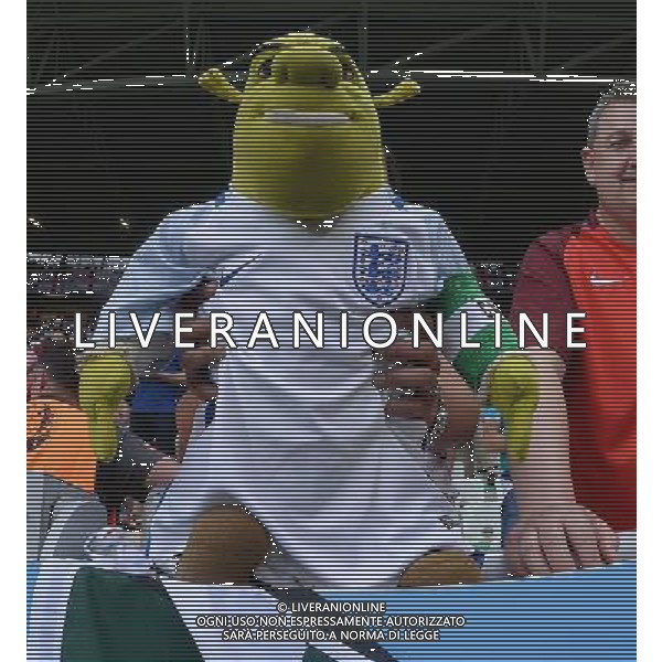 UEFA Francia EURO 2016 Final Tournament Group Stage B Saint-Etienne - 20.06.2016 Slovacchia-Inghilterra Nella Foto:tifosi inghilterra /Ph.Vitez-Ag. Aldo Liverani