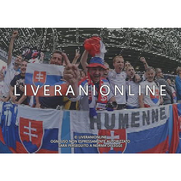 UEFA Francia EURO 2016 Final Tournament Group Stage B Saint-Etienne - 20.06.2016 Slovacchia-Inghilterra Nella Foto:tifosi slovacchia /Ph.Vitez-Ag. Aldo Liverani