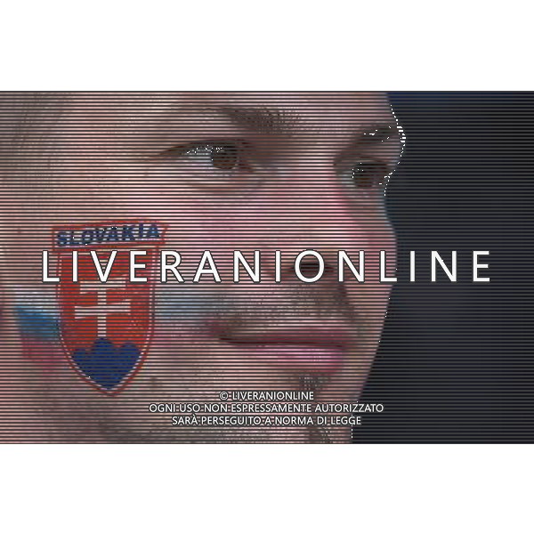 UEFA Francia EURO 2016 Final Tournament Group Stage B Saint-Etienne - 20.06.2016 Slovacchia-Inghilterra Nella Foto:tifosi slovacchia /Ph.Vitez-Ag. Aldo Liverani