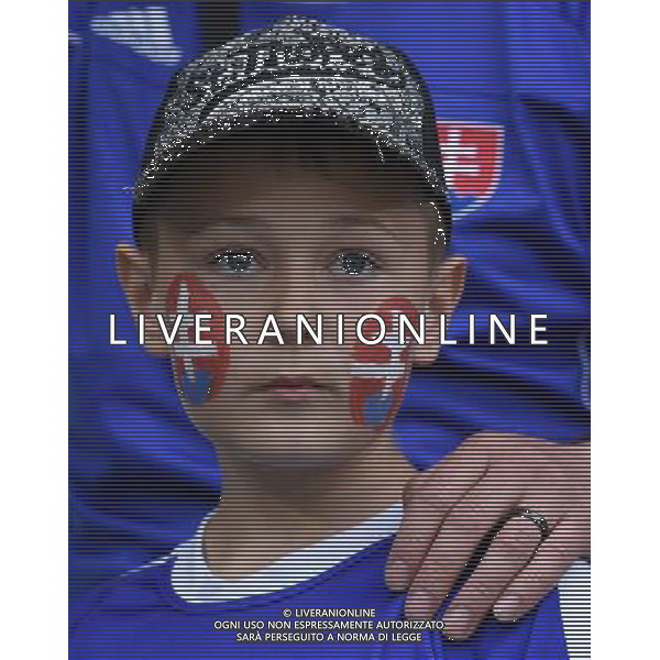 UEFA Francia EURO 2016 Final Tournament Group Stage B Saint-Etienne - 20.06.2016 Slovacchia-Inghilterra Nella Foto:tifosi slovacchia /Ph.Vitez-Ag. Aldo Liverani