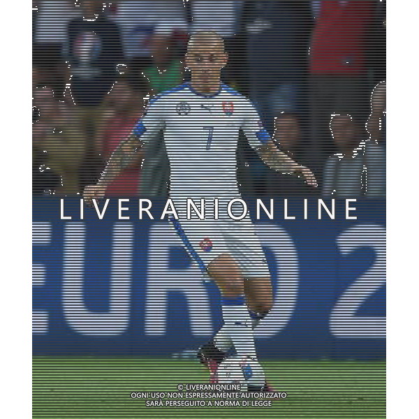 UEFA Francia EURO 2016 Final Tournament Group Stage B Saint-Etienne - 20.06.2016 Slovacchia-Inghilterra Nella Foto:weiss /Ph.Vitez-Ag. Aldo Liverani