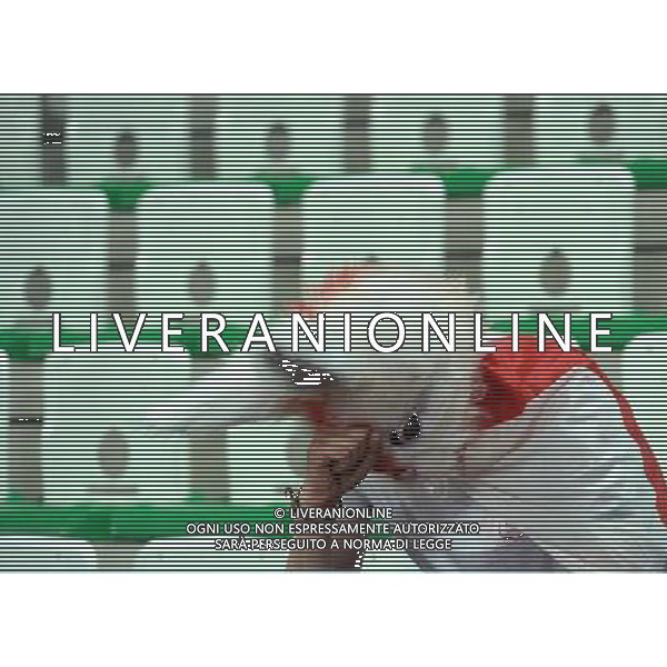 UEFA Francia EURO 2016 Final Tournament Group Stage B Saint-Etienne - 20.06.2016 Slovacchia-Inghilterra Nella Foto:delusione dei tifosi inglesi /Ph.Vitez-Ag. Aldo Liverani