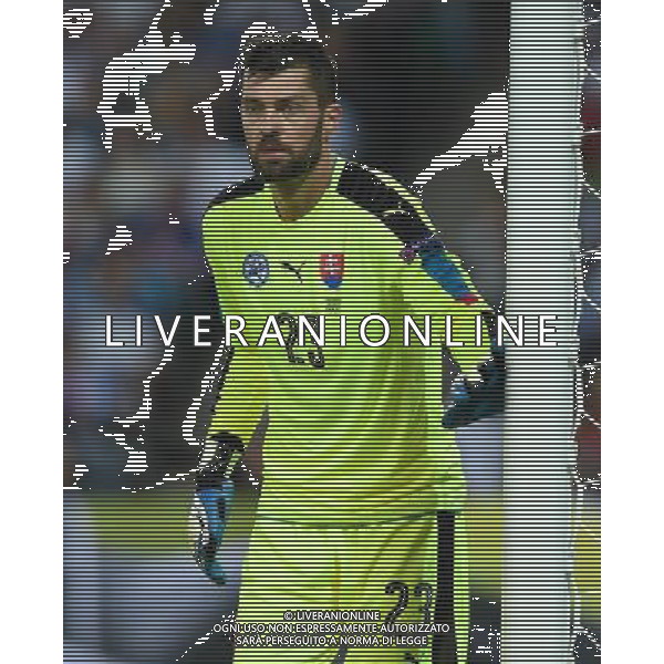 UEFA Francia EURO 2016 Final Tournament Group Stage B Saint-Etienne - 20.06.2016 Slovacchia-Inghilterra Nella Foto:Kozacik Matus /Ph.Vitez-Ag. Aldo Liverani