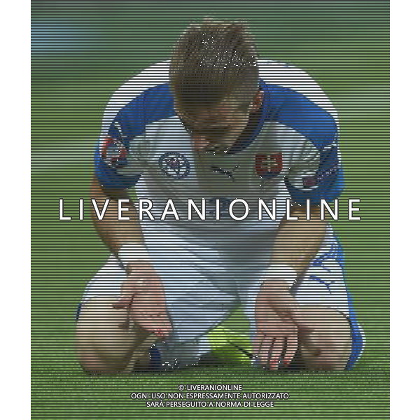 UEFA Francia EURO 2016 Final Tournament Group Stage B Saint-Etienne - 20.06.2016 Slovacchia-Inghilterra Nella Foto:Pekarik Peter /Ph.Vitez-Ag. Aldo Liverani