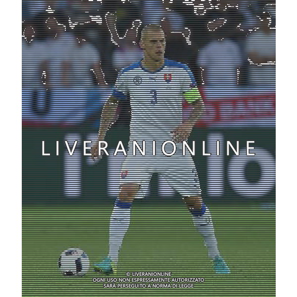 UEFA Francia EURO 2016 Final Tournament Group Stage B Saint-Etienne - 20.06.2016 Slovacchia-Inghilterra Nella Foto:Skrtel Martin /Ph.Vitez-Ag. Aldo Liverani