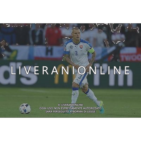 UEFA Francia EURO 2016 Final Tournament Group Stage B Saint-Etienne - 20.06.2016 Slovacchia-Inghilterra Nella Foto:Skrtel Martin /Ph.Vitez-Ag. Aldo Liverani