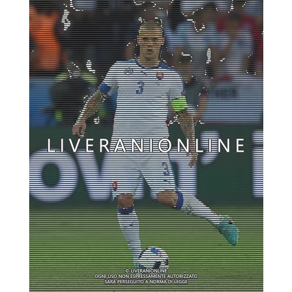 UEFA Francia EURO 2016 Final Tournament Group Stage B Saint-Etienne - 20.06.2016 Slovacchia-Inghilterra Nella Foto:Skrtel Martin /Ph.Vitez-Ag. Aldo Liverani