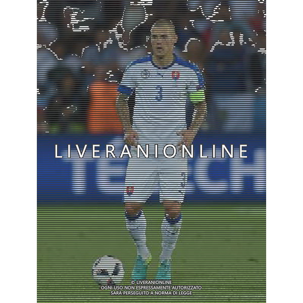 UEFA Francia EURO 2016 Final Tournament Group Stage B Saint-Etienne - 20.06.2016 Slovacchia-Inghilterra Nella Foto:Skrtel Martin /Ph.Vitez-Ag. Aldo Liverani