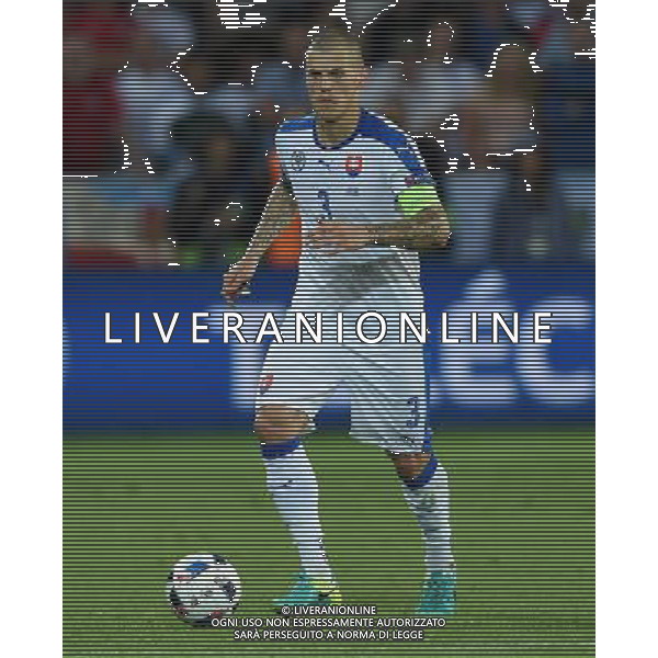 UEFA Francia EURO 2016 Final Tournament Group Stage B Saint-Etienne - 20.06.2016 Slovacchia-Inghilterra Nella Foto:Skrtel Martin /Ph.Vitez-Ag. Aldo Liverani