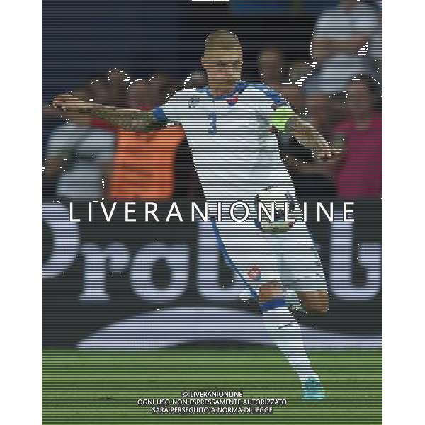 UEFA Francia EURO 2016 Final Tournament Group Stage B Saint-Etienne - 20.06.2016 Slovacchia-Inghilterra Nella Foto:Skrtel Martin /Ph.Vitez-Ag. Aldo Liverani