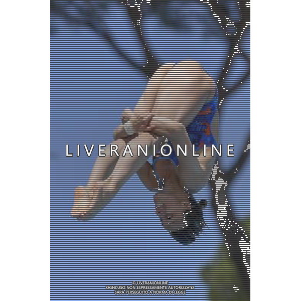 Campionati Italiani Assoluti Estivi Open Roma - 21.06.2016 - Stadio del Nuoto - nella foto: Tania Cagnotto /Ph. Corradetti - AG ALDO LIVERANI SAS